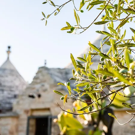 招待所 Sopra I Sassi - & Trulli 奥斯图尼